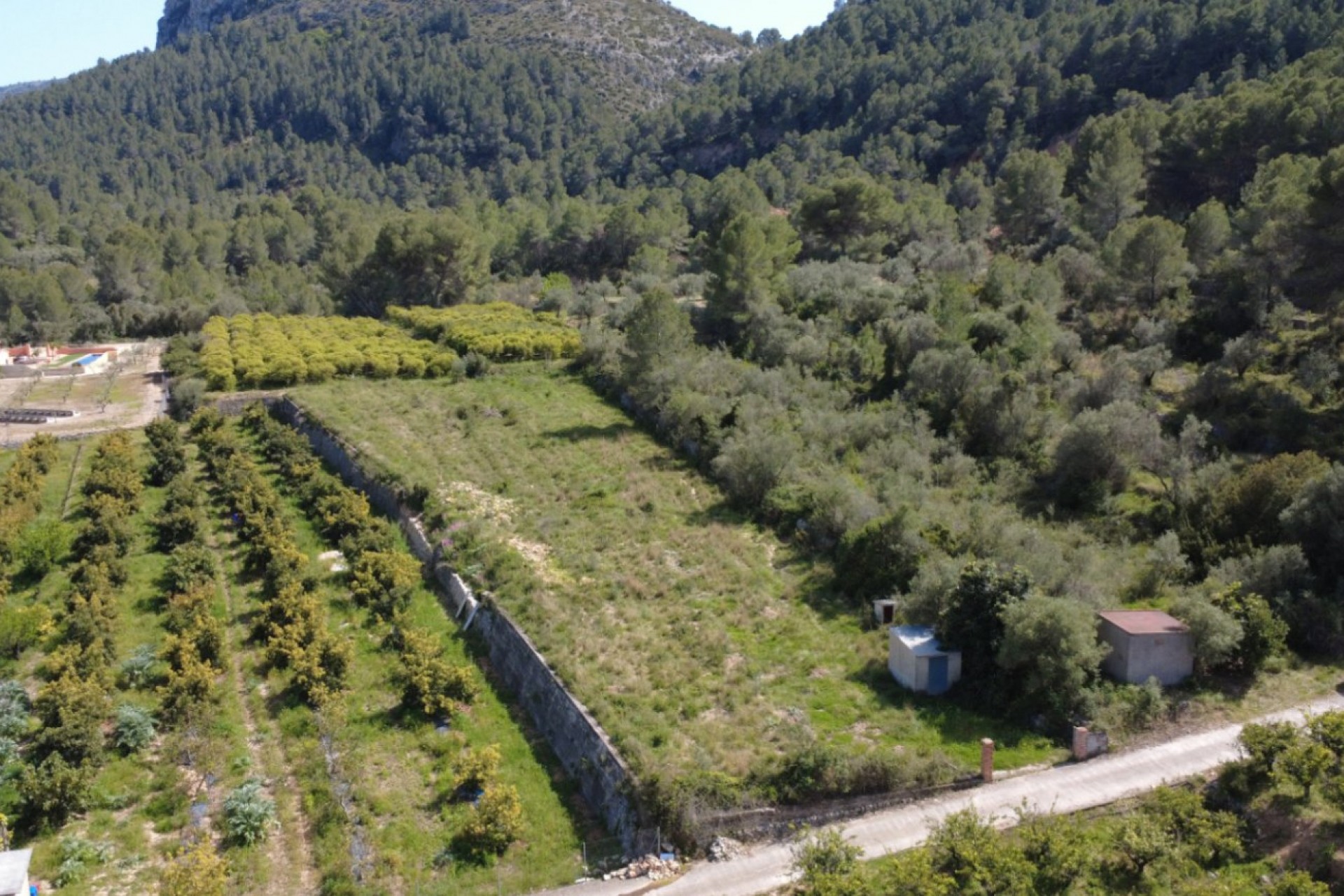 A Vendre - Terrain -
Orba
