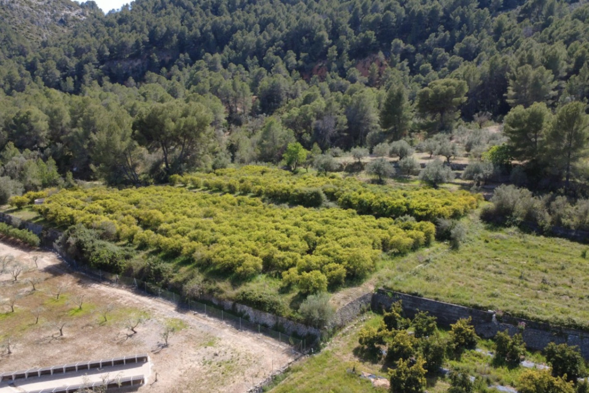 A Vendre - Terrain -
Orba