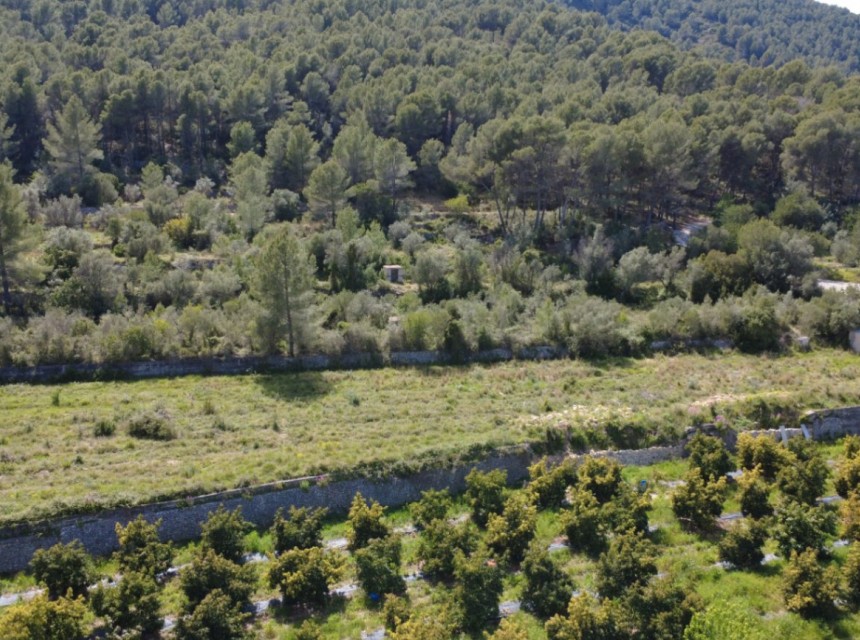A Vendre - Terrain -
Orba