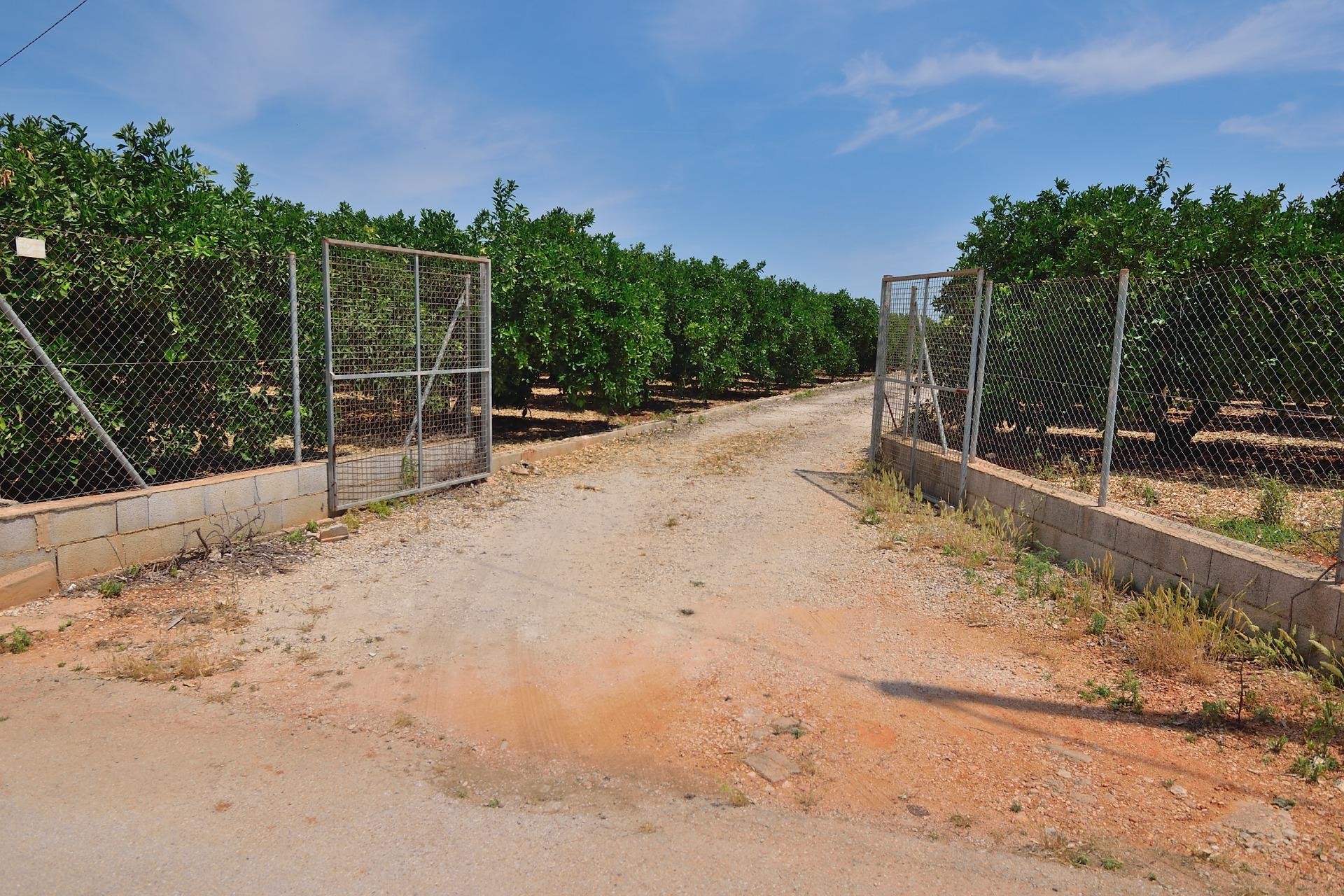 A Vendre - Terrain -
Pedreguer - CAMPO