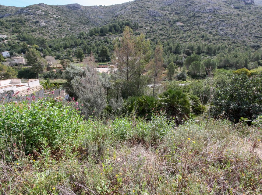 A Vendre - Terrain -
Pedreguer