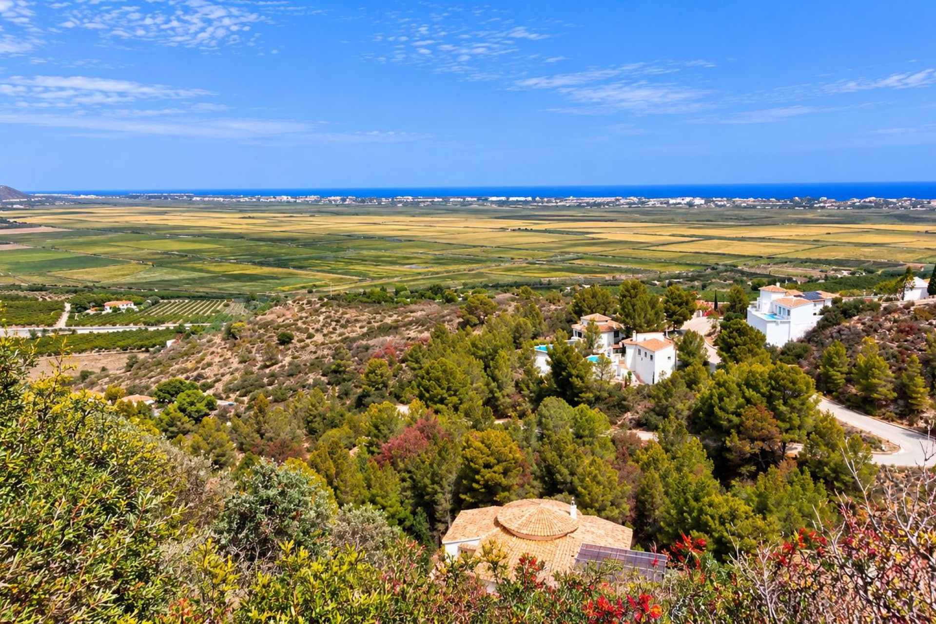 A Vendre - Terrain -
Pego
