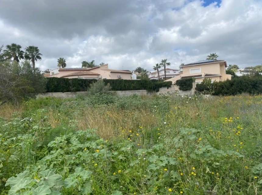 A Vendre - Terrain -
Teulada