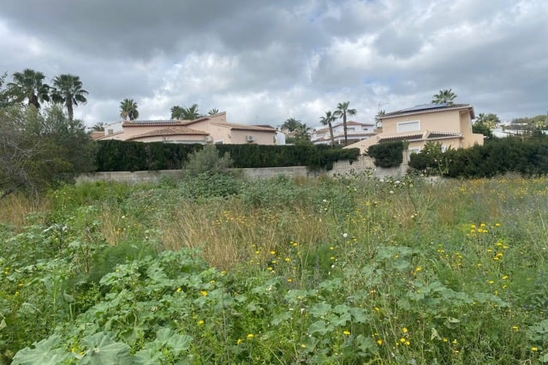 A Vendre - Terrain -
Teulada