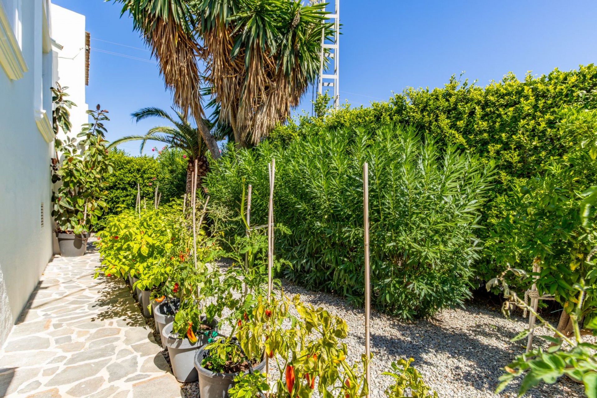 A Vendre - Villa -
Benissa - Baladrar