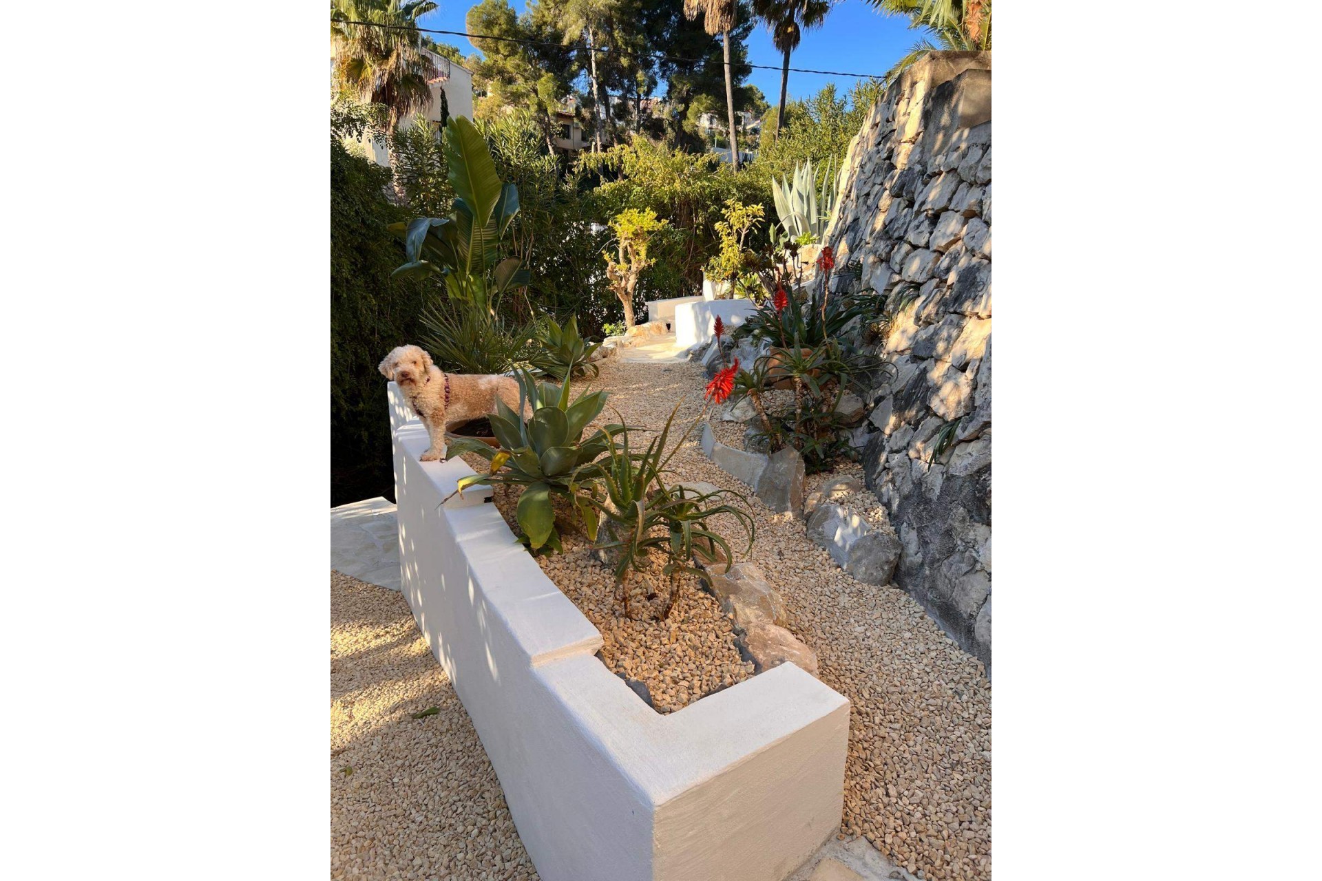 A Vendre - Villa -
Benissa - Buenavista