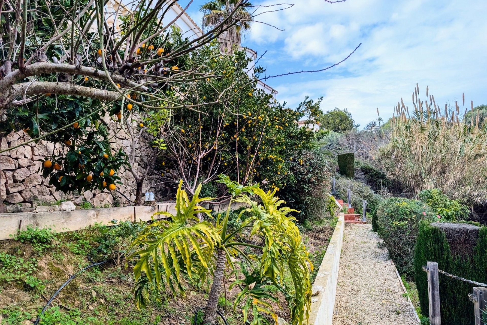 A Vendre - Villa -
Benissa - Fanadix