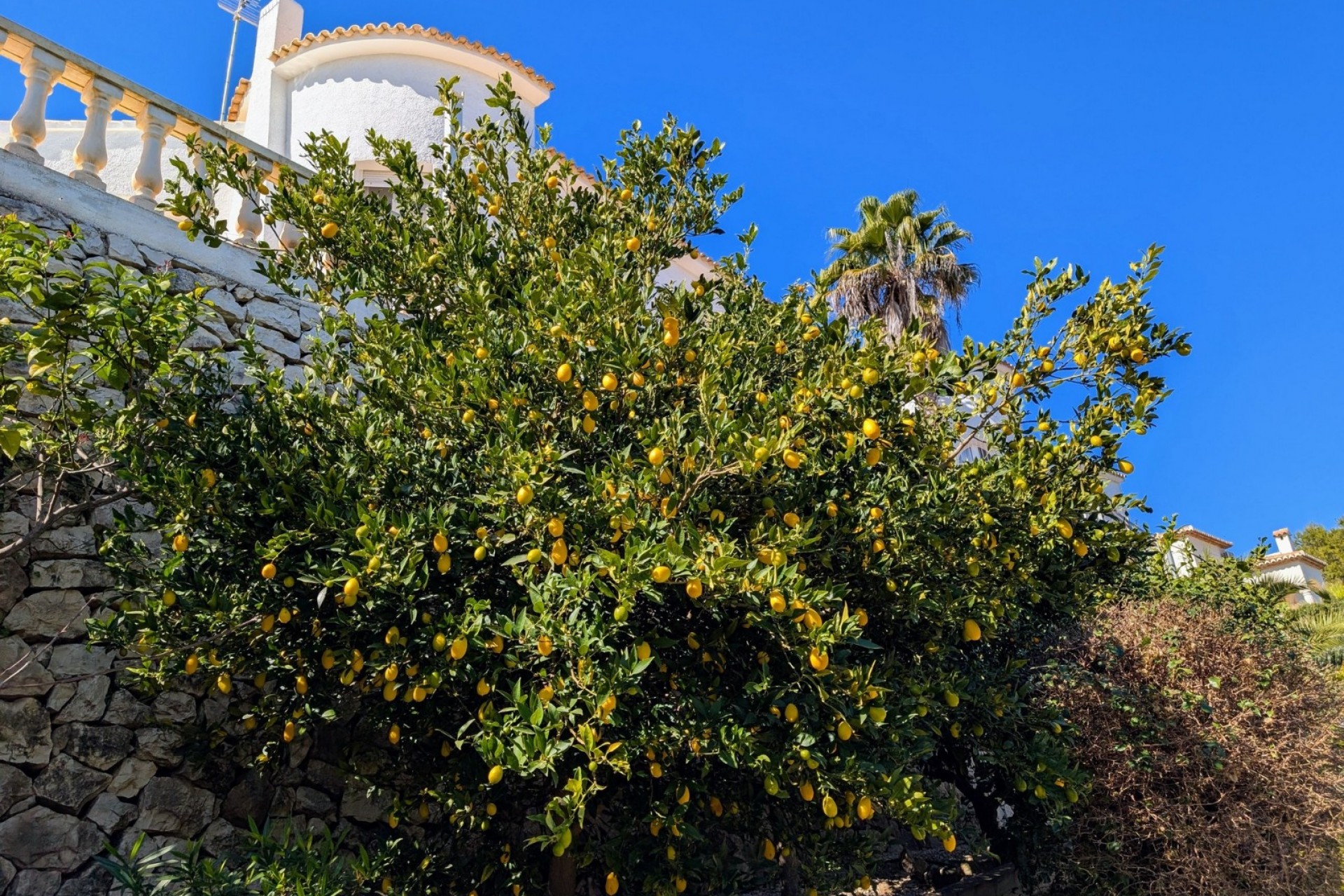 A Vendre - Villa -
Benissa - Fanadix