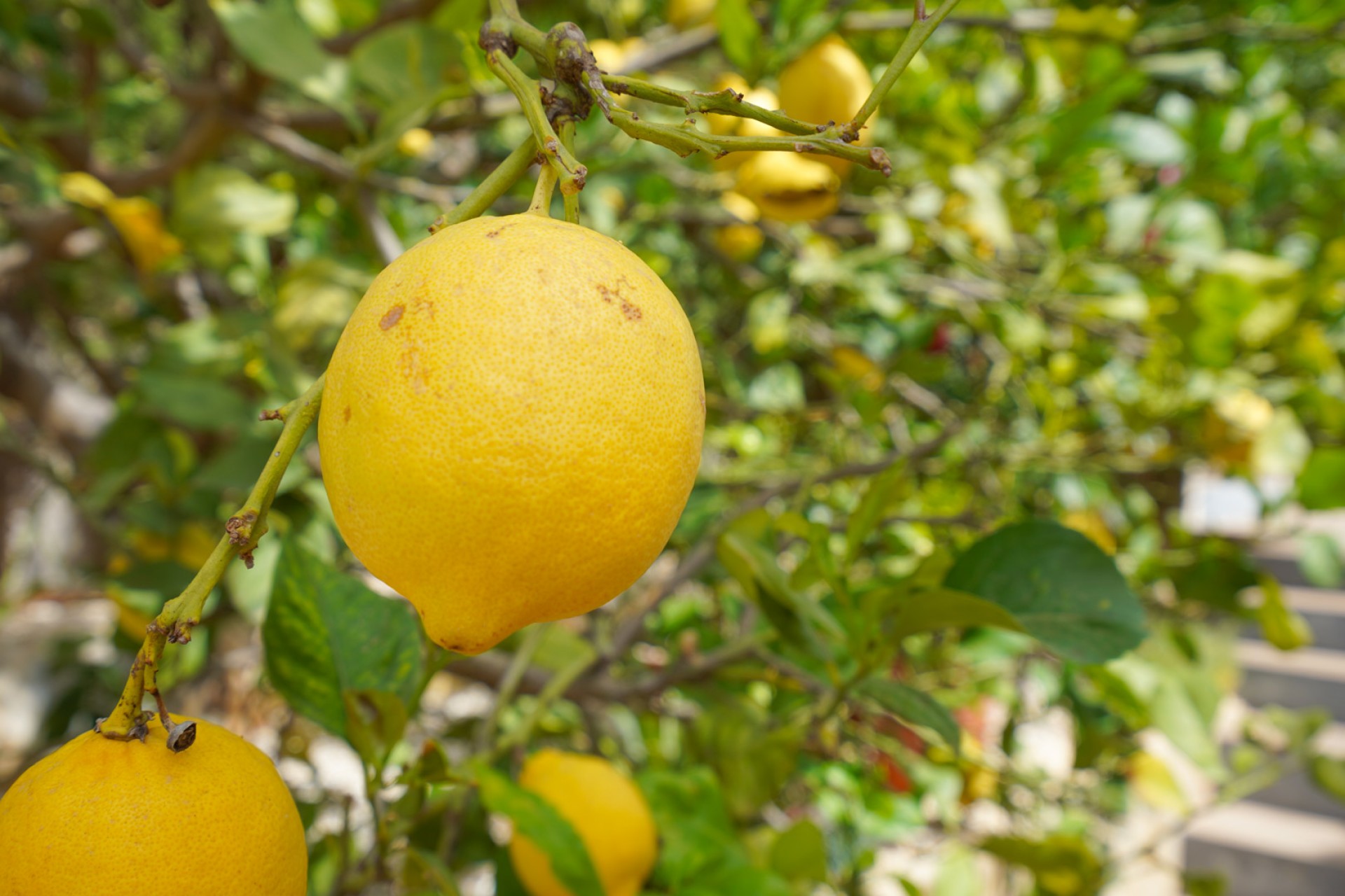 A Vendre - Villa -
Benitachell - Cumbre del Sol