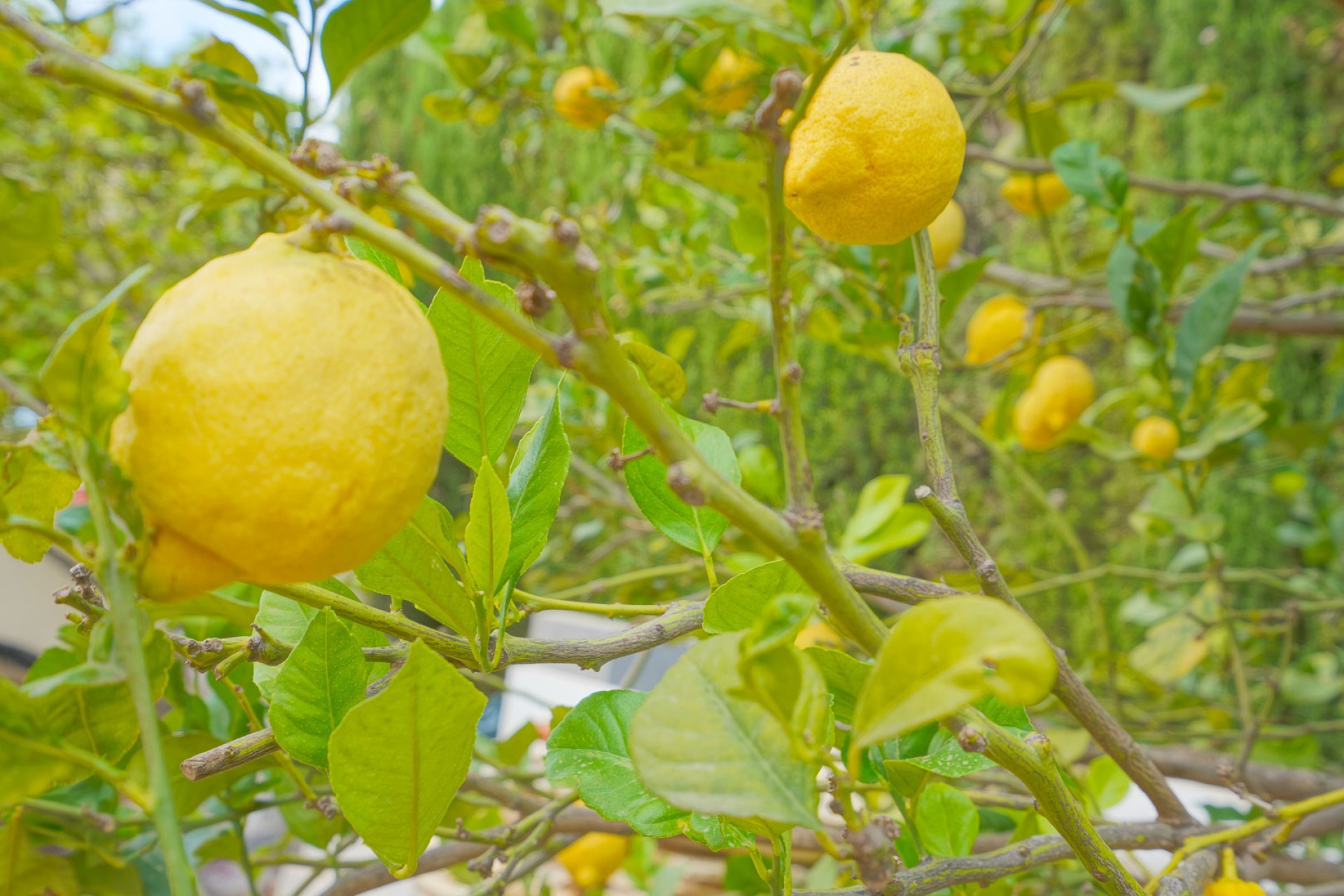 A Vendre - Villa -
Benitachell - Cumbre del Sol