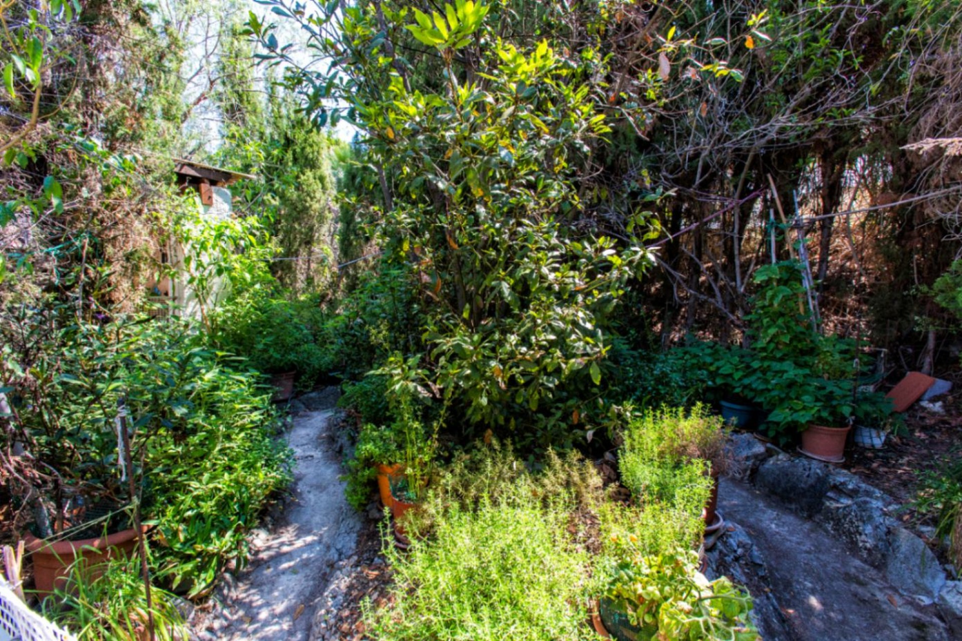 A Vendre - Villa -
Calpe - La cometa iii