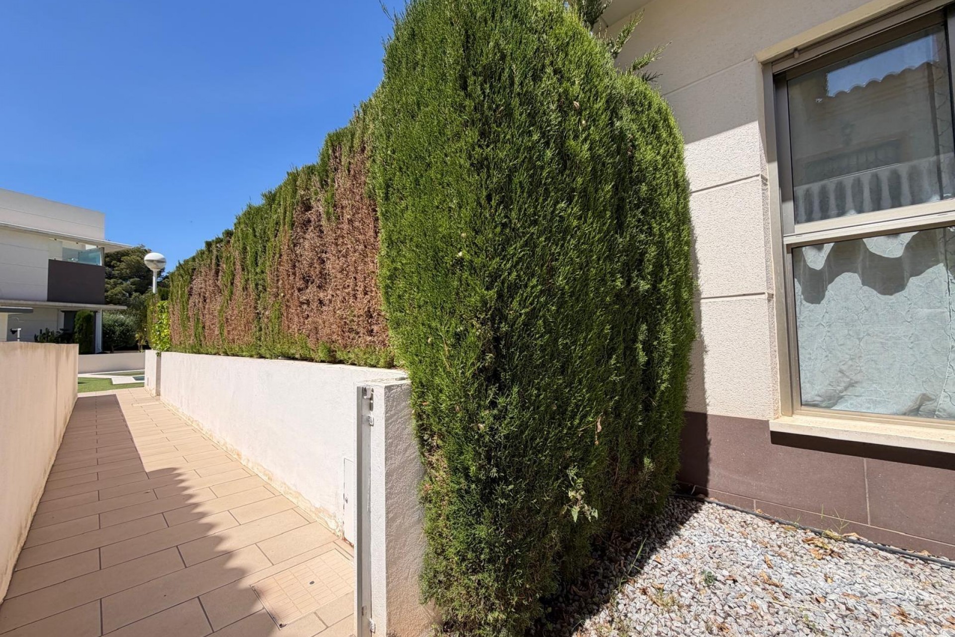 A Vendre - Villa -
Ciudad Quesada - Doña Pepa
