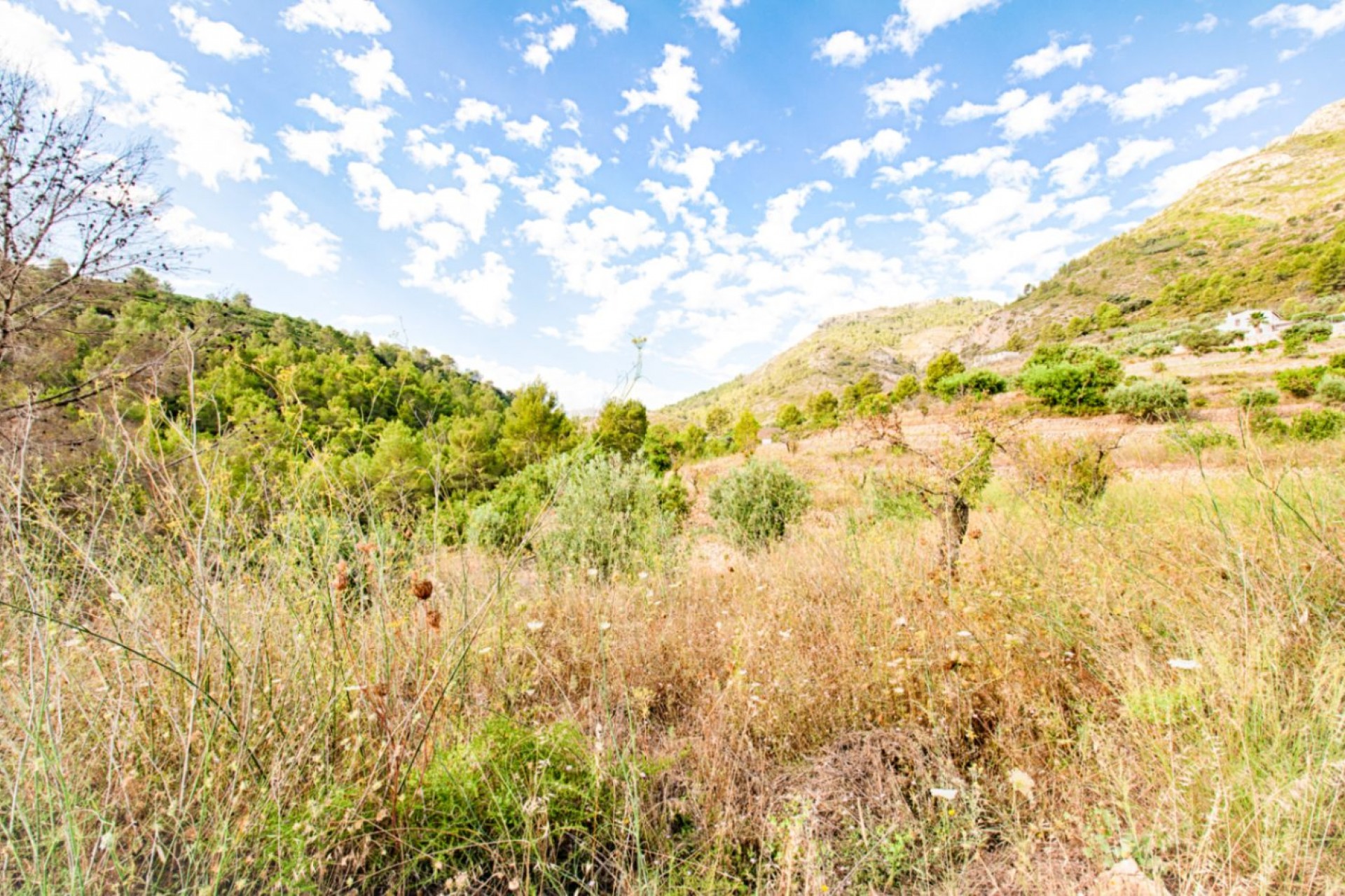 A Vendre - Villa -
Jalon