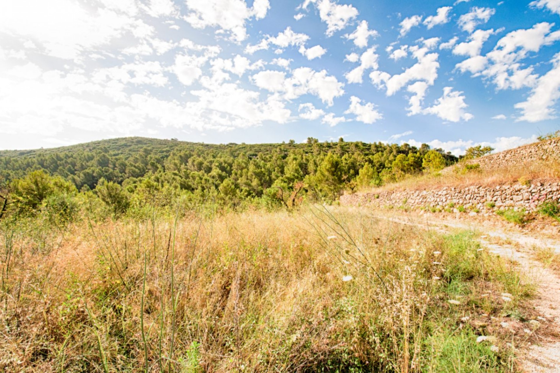 A Vendre - Villa -
Jalon