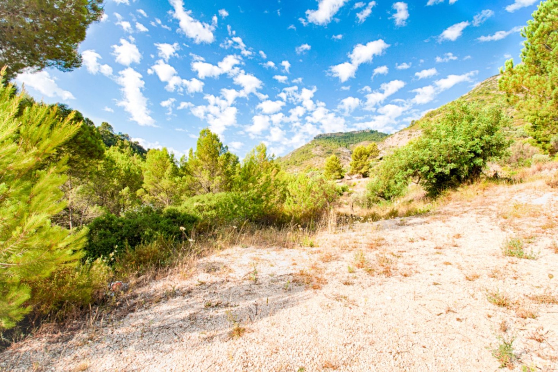 A Vendre - Villa -
Jalon