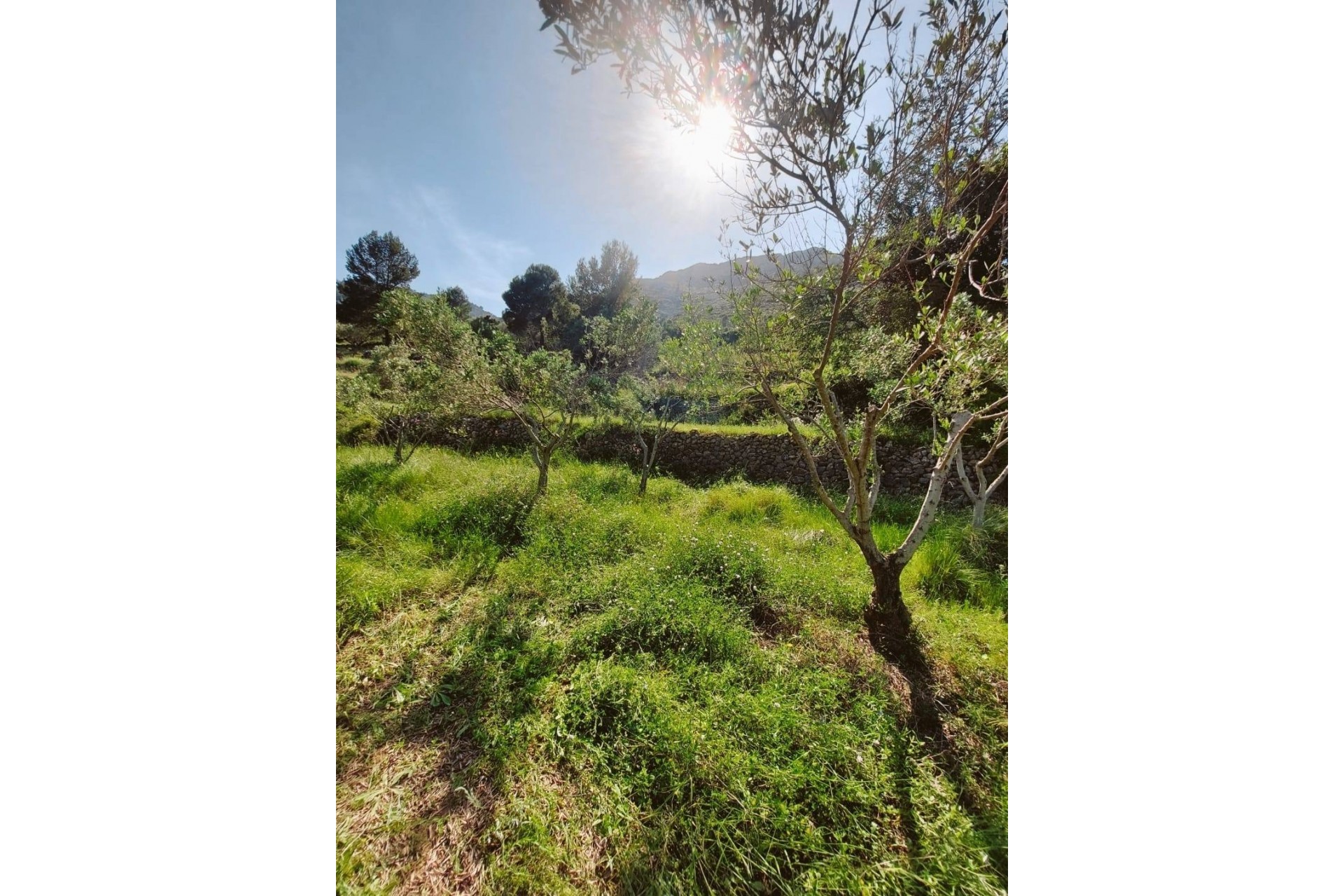 A Vendre - Villa -
Jalon