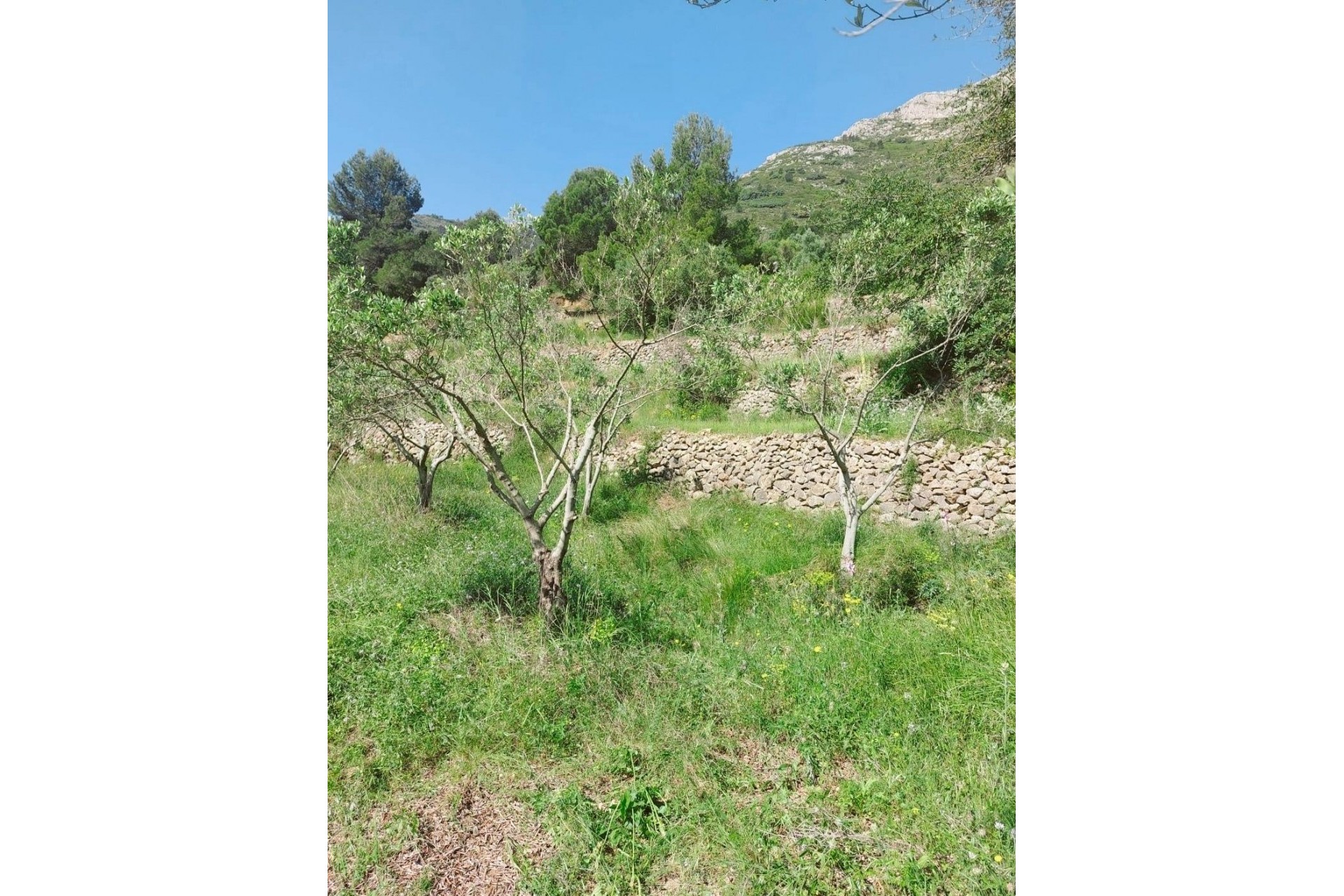 A Vendre - Villa -
Jalon