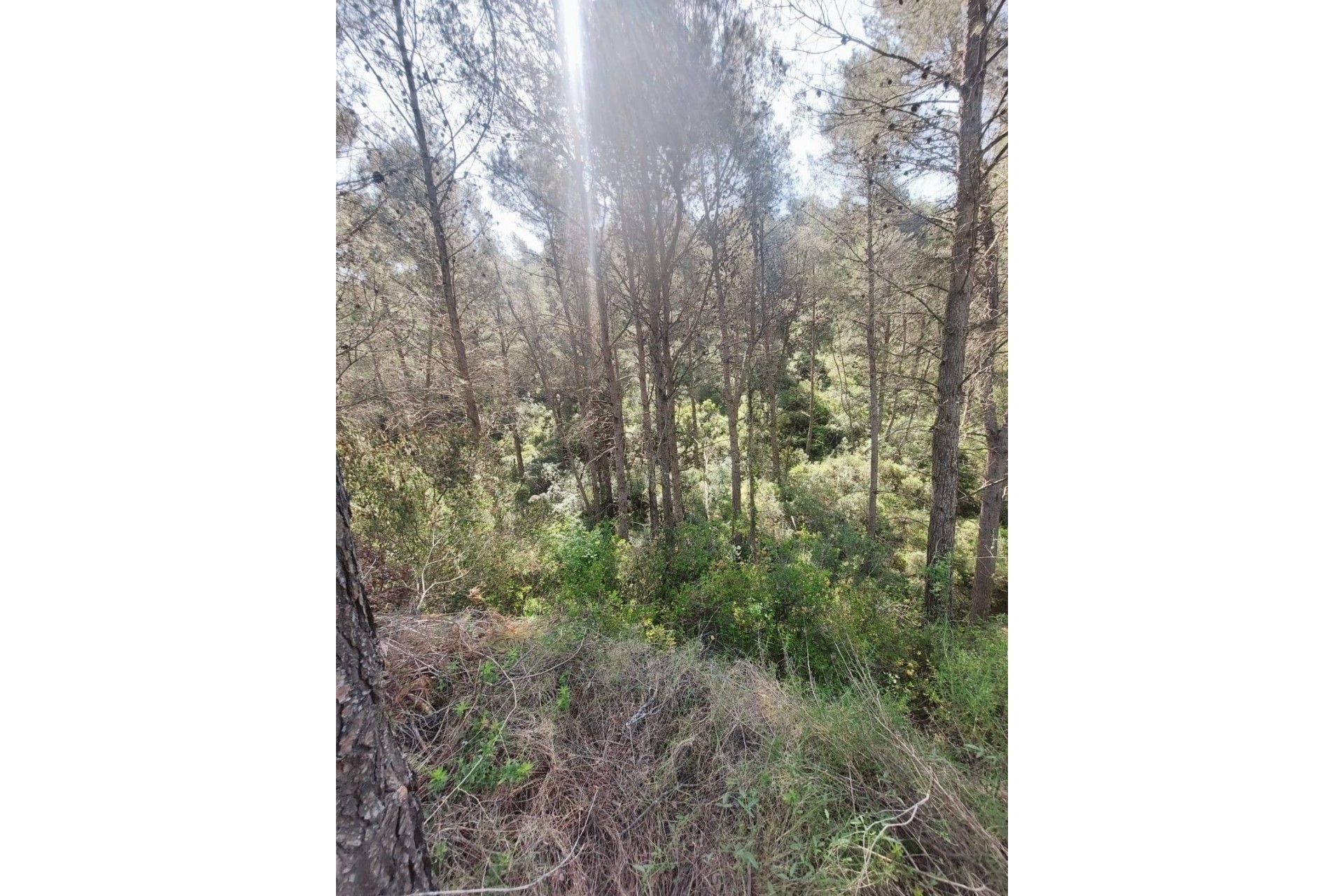 A Vendre - Villa -
Jalon