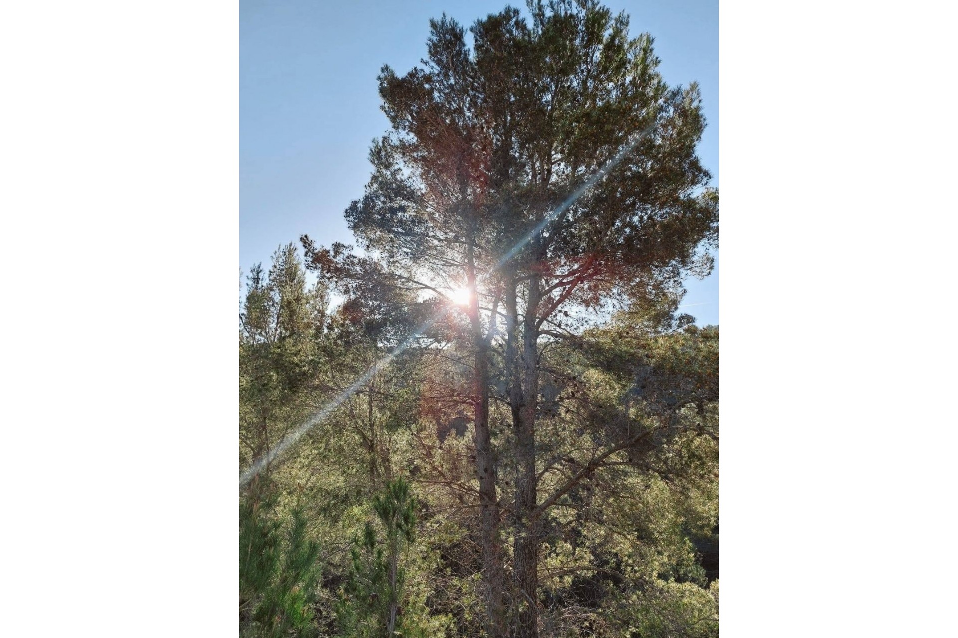 A Vendre - Villa -
Jalon