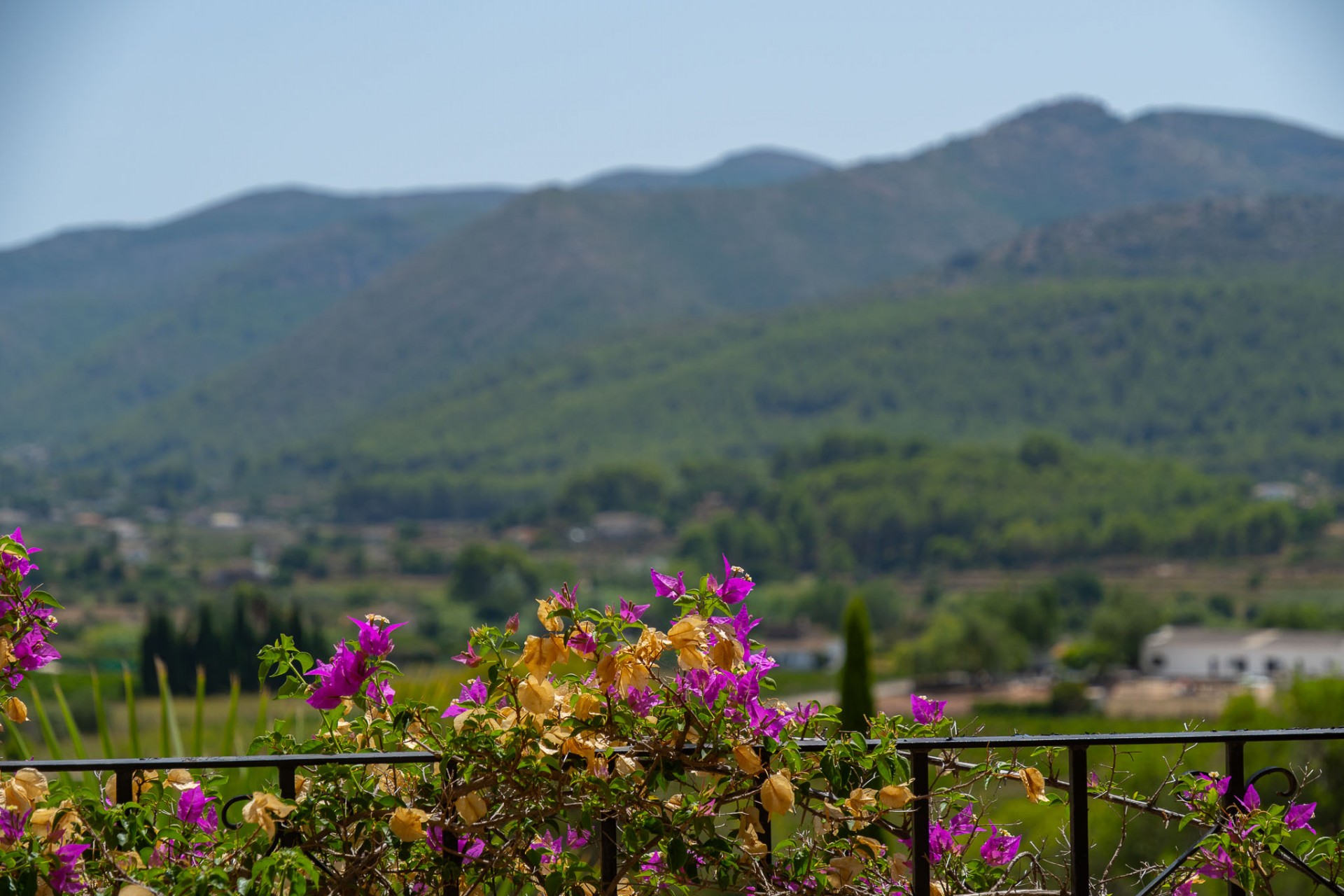 A Vendre - Villa -
Jalon