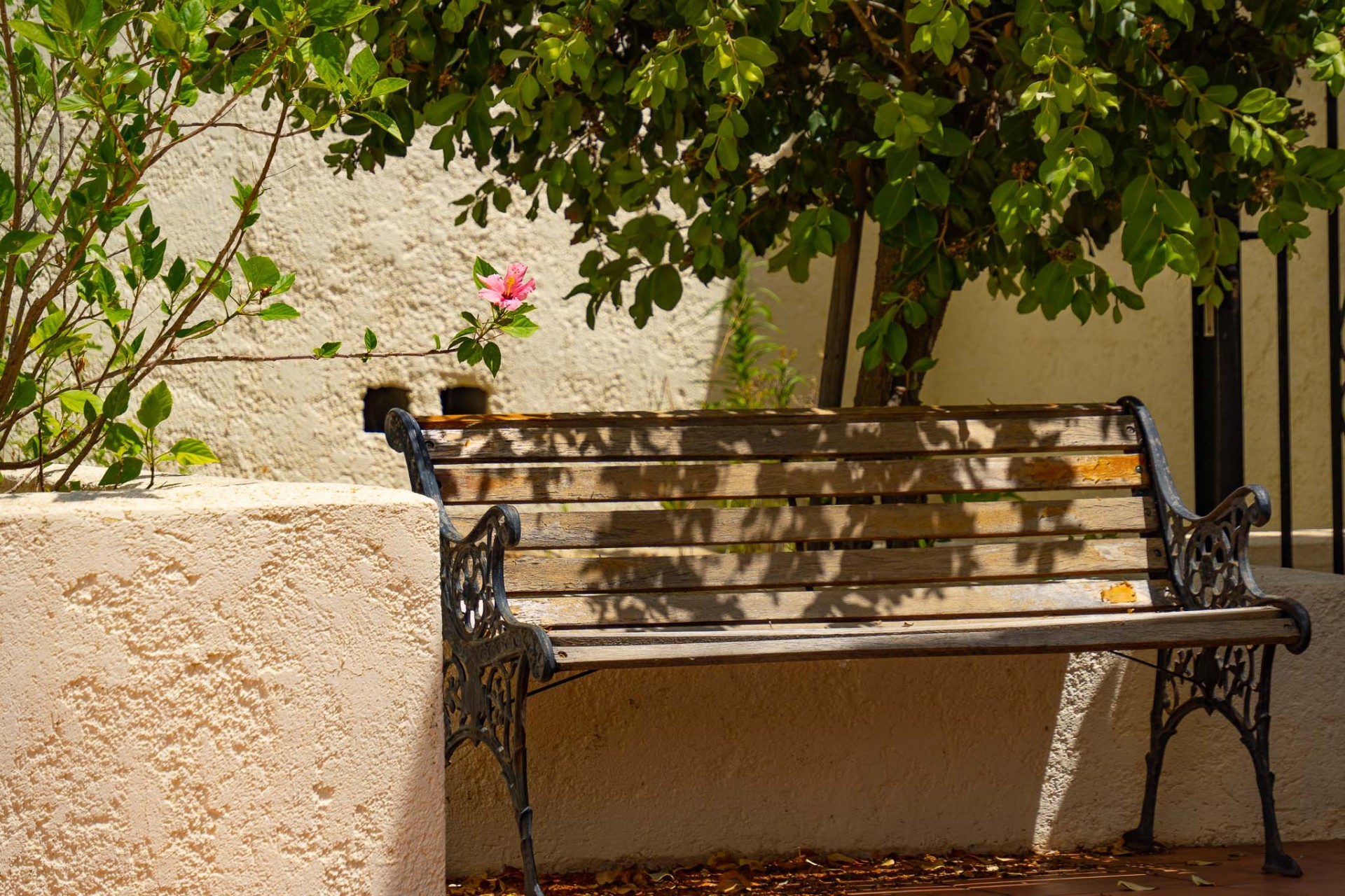 A Vendre - Villa -
Jalon