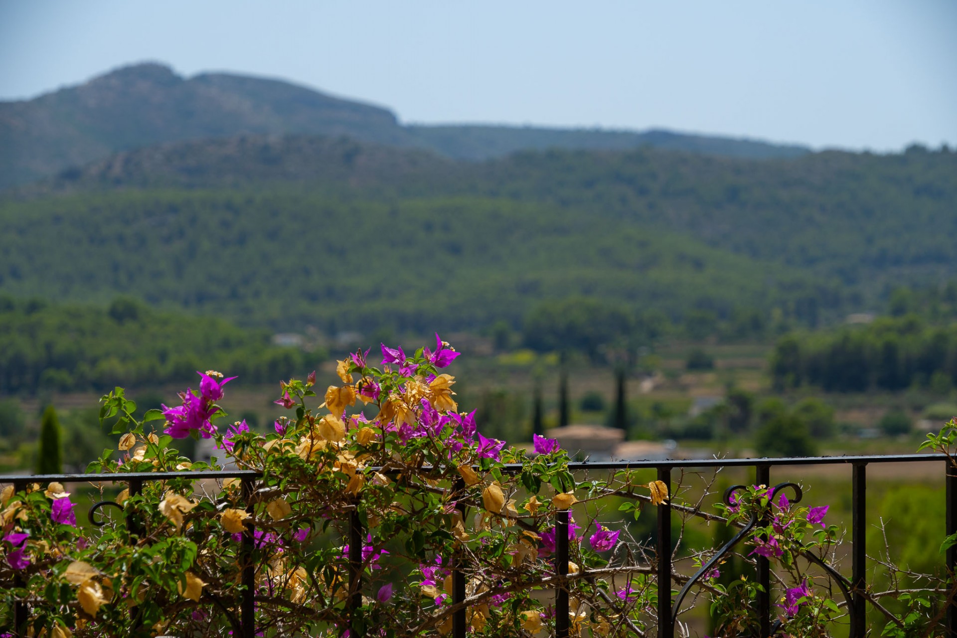 A Vendre - Villa -
Jalon