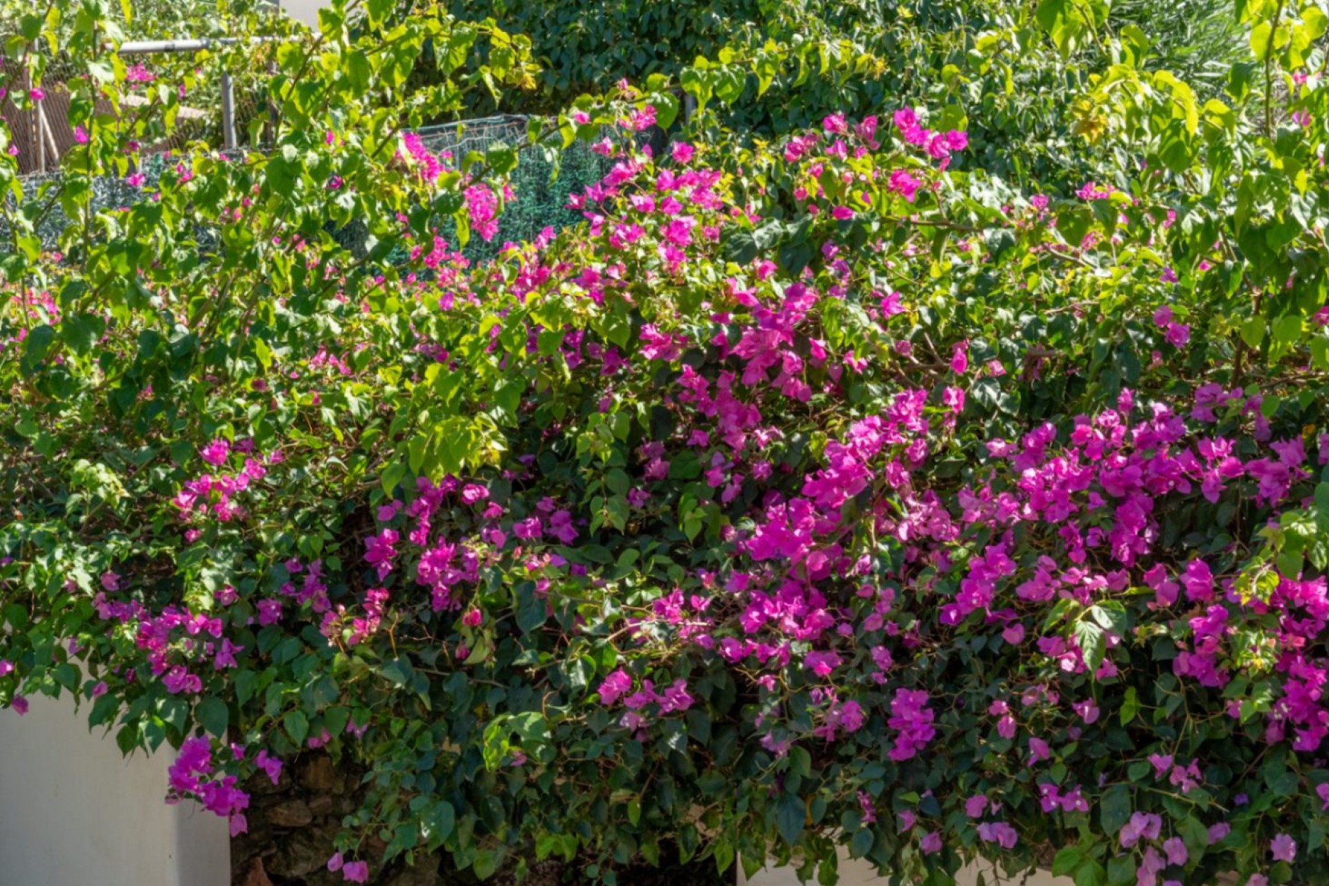 A Vendre - Villa -
Javea - Tosalet