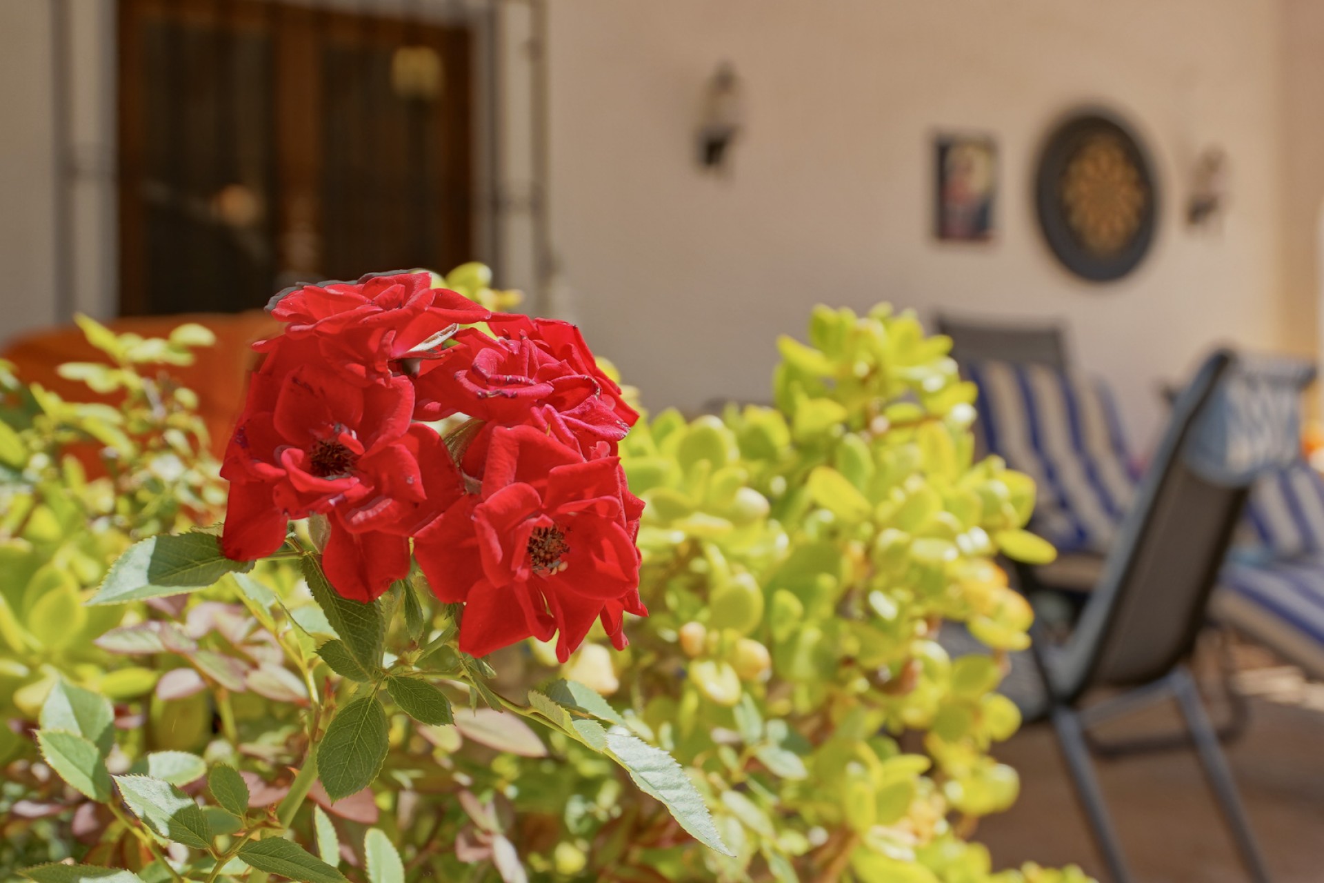 A Vendre - Villa -
Javea