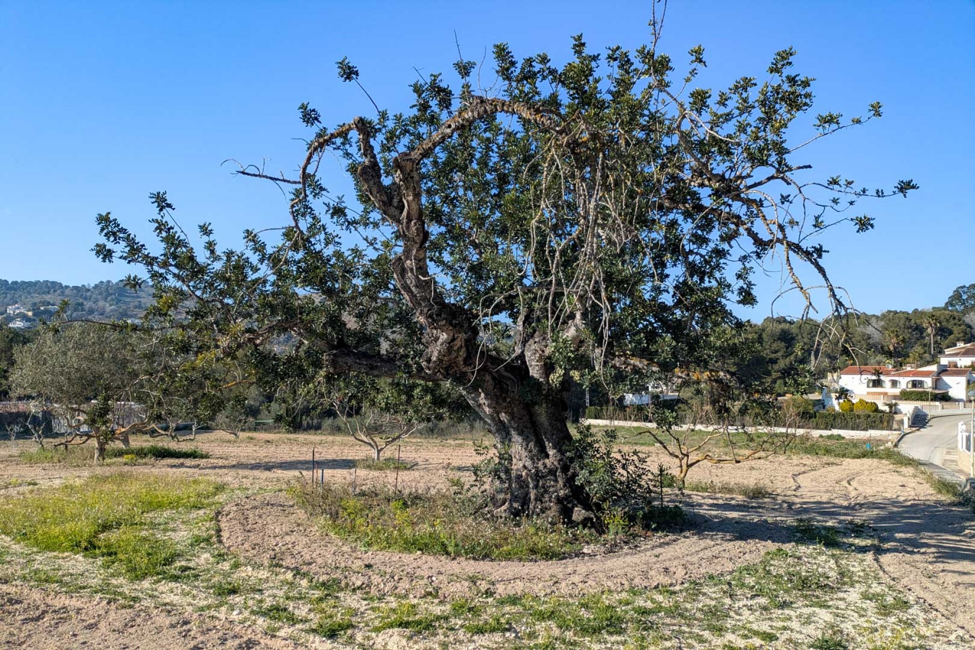 A Vendre - Villa -
Javea