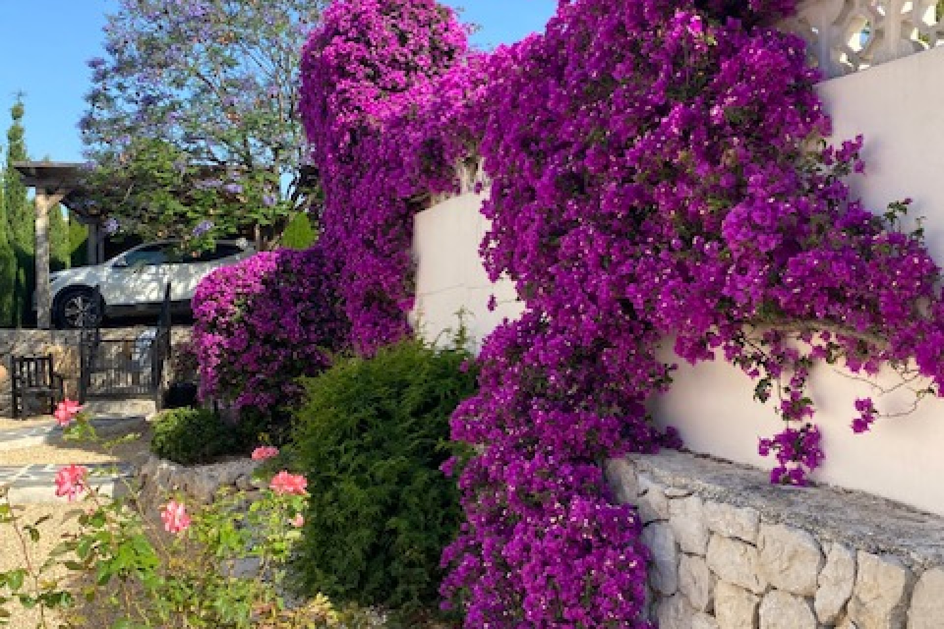 A Vendre - Villa -
Murla