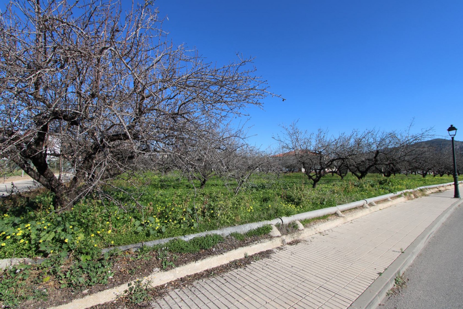 A Vendre - Villa -
Murla