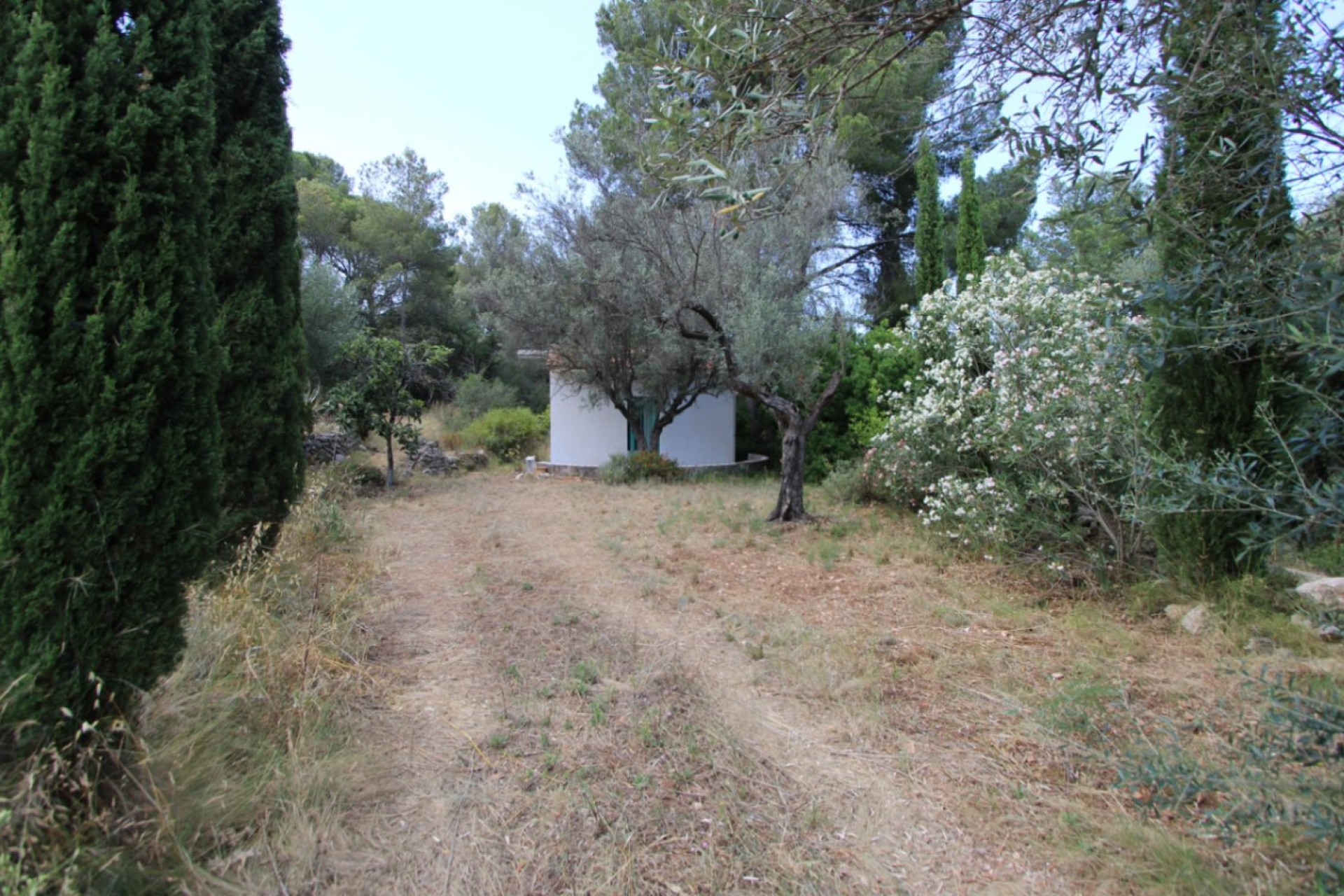 A Vendre - Villa -
Orba