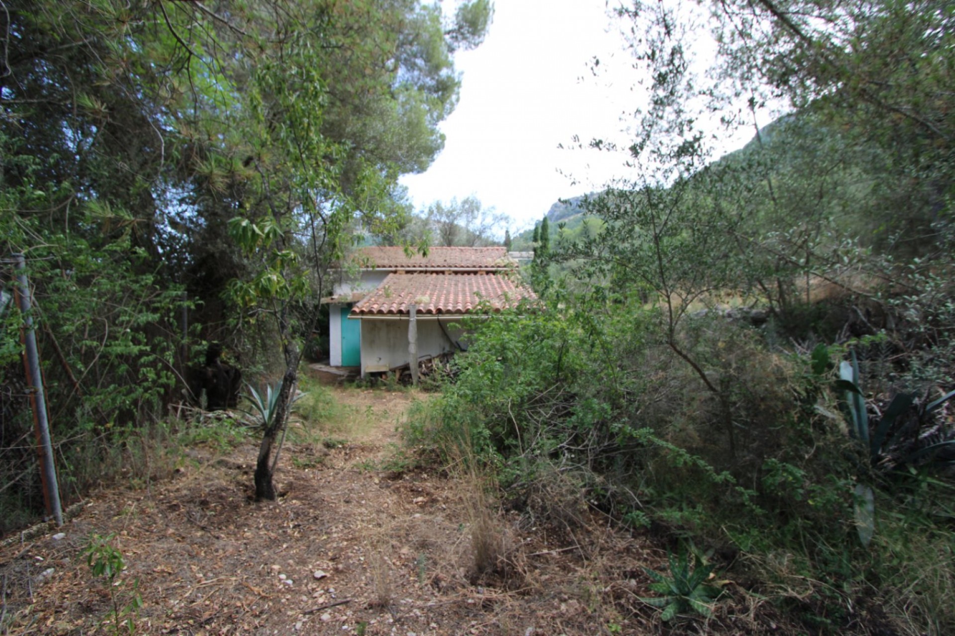 A Vendre - Villa -
Orba