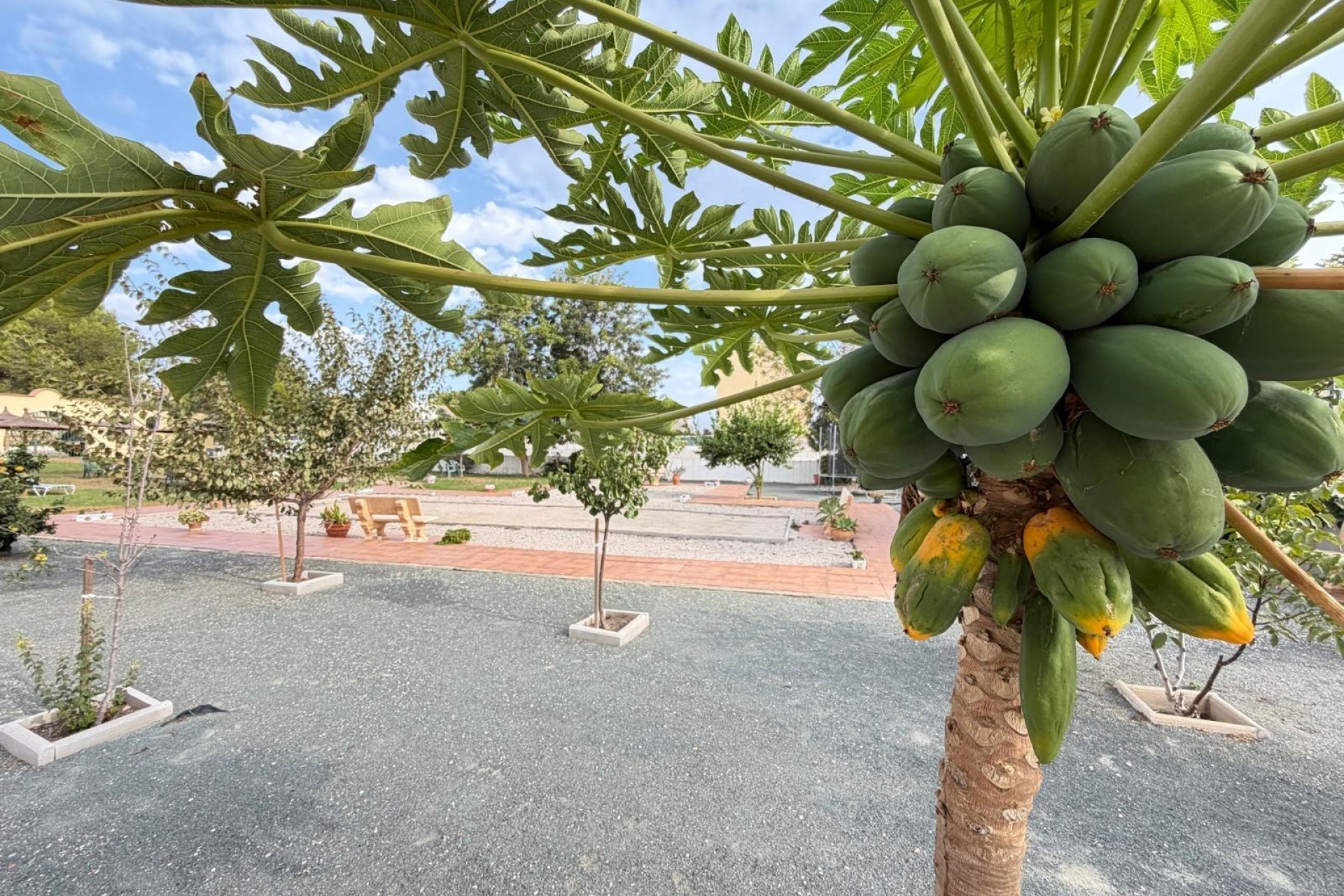 A Vendre - Villa -
Orihuela Costa - Lomas de Don Juan