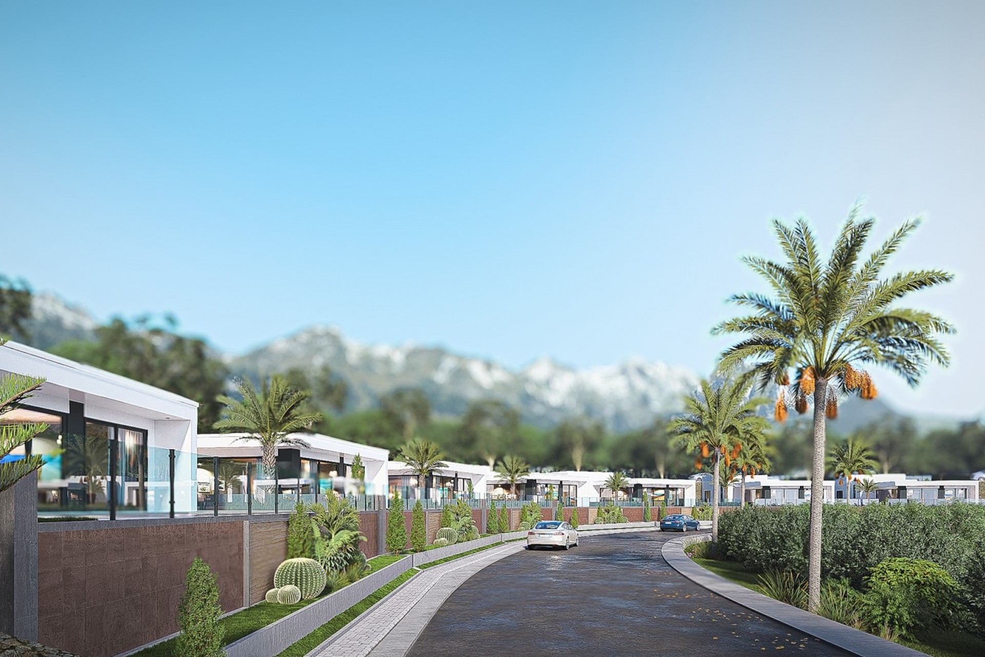 A Vendre - Villa -
Pedreguer
