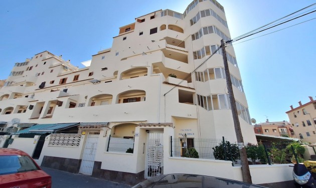 Apartamento - A Vendre - Torrevieja -
                Nueva Torrevieja