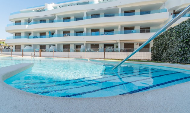 Bungalow - New build - Playa Flamenca - Playa Flamenca