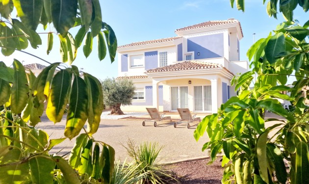 detached - New build - Purias - Purias