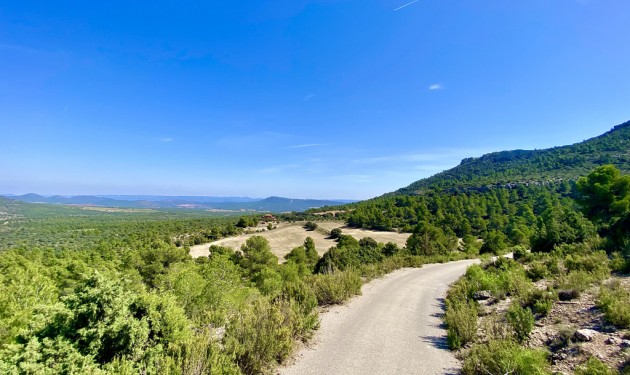 Finca / Landgut - Zu verkaufen - Ayora - Valencia
