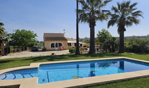 Finca / Propriété rurale - A Vendre - Benimarco -
                Costa Blanca