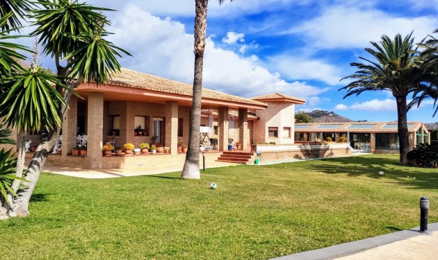 Finca / Propriété rurale - A Vendre - Calpe - Calpe