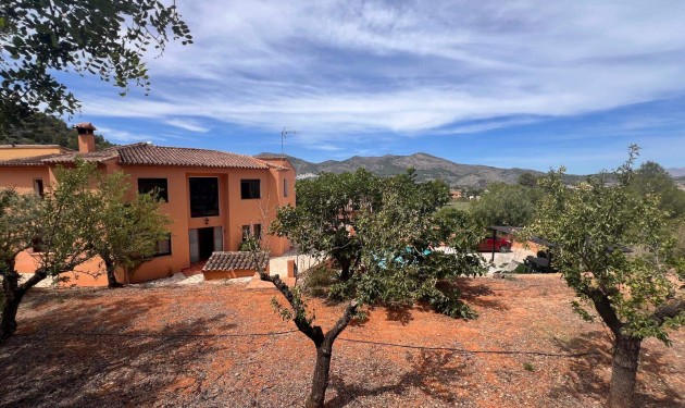 Finca - Te koop - Jalon - Jalon