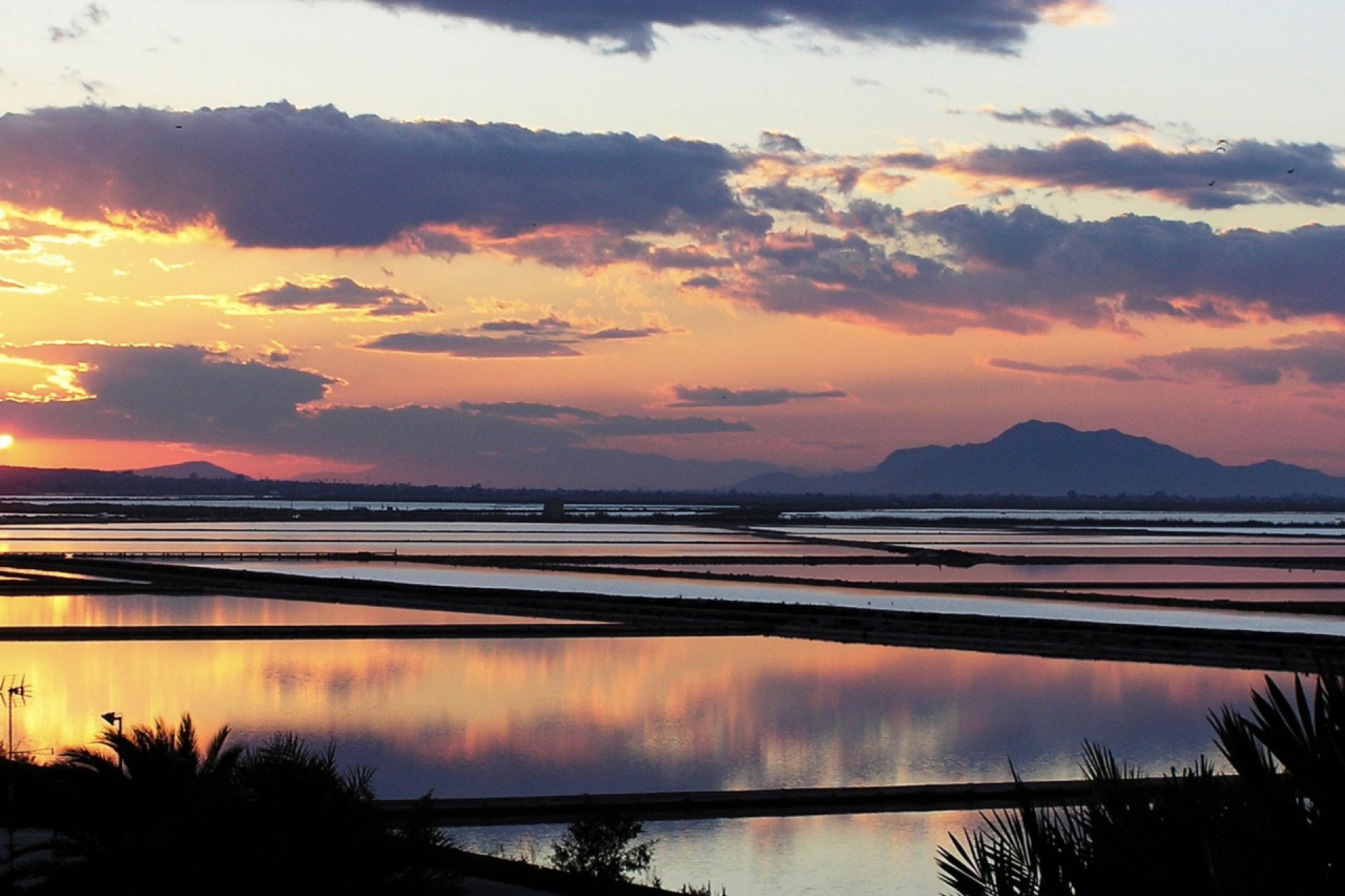 Neubau - Apartment -
Alicantino