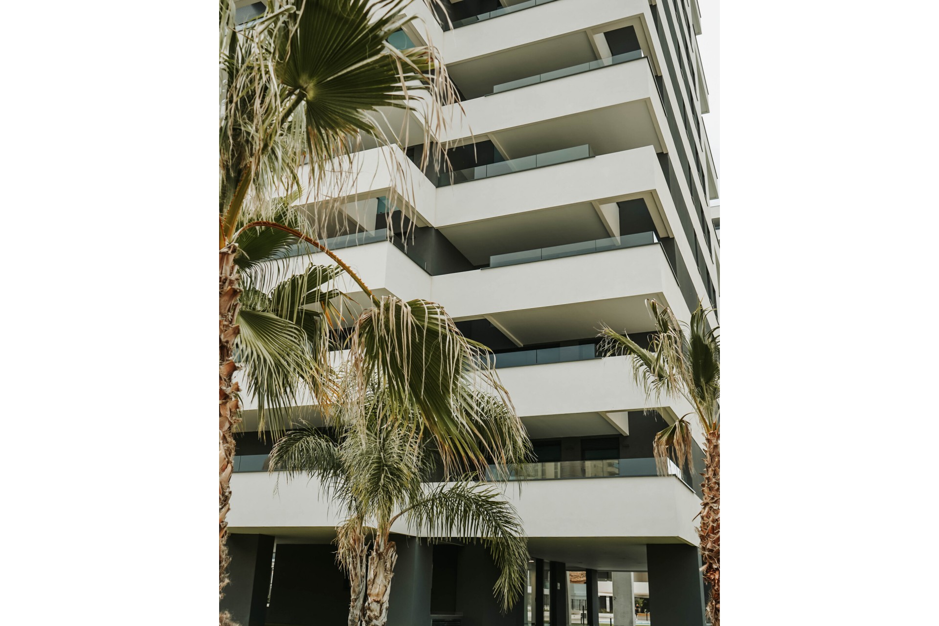 Neubau - Apartment -
Calpe