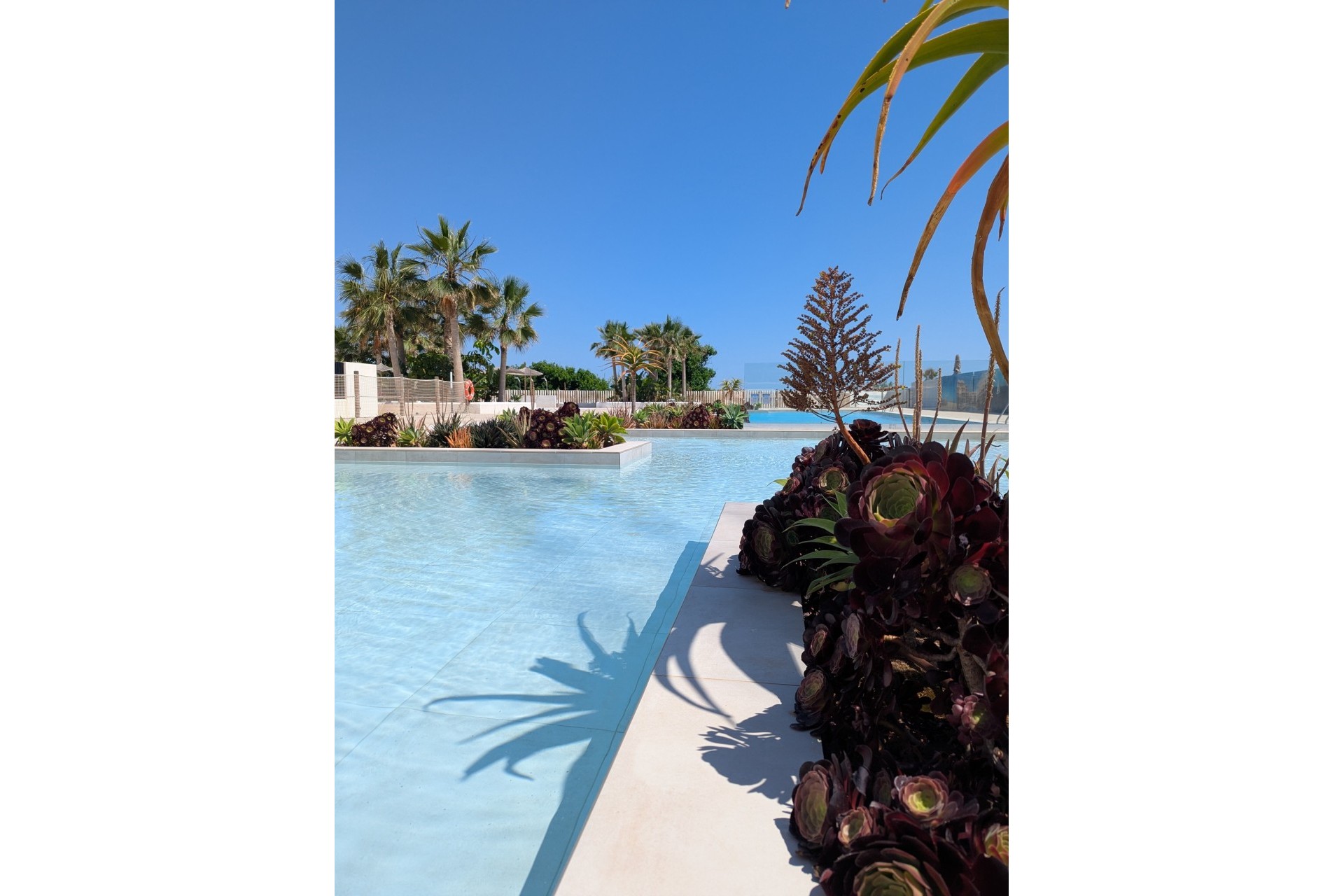 Neubau - Apartment -
Denia