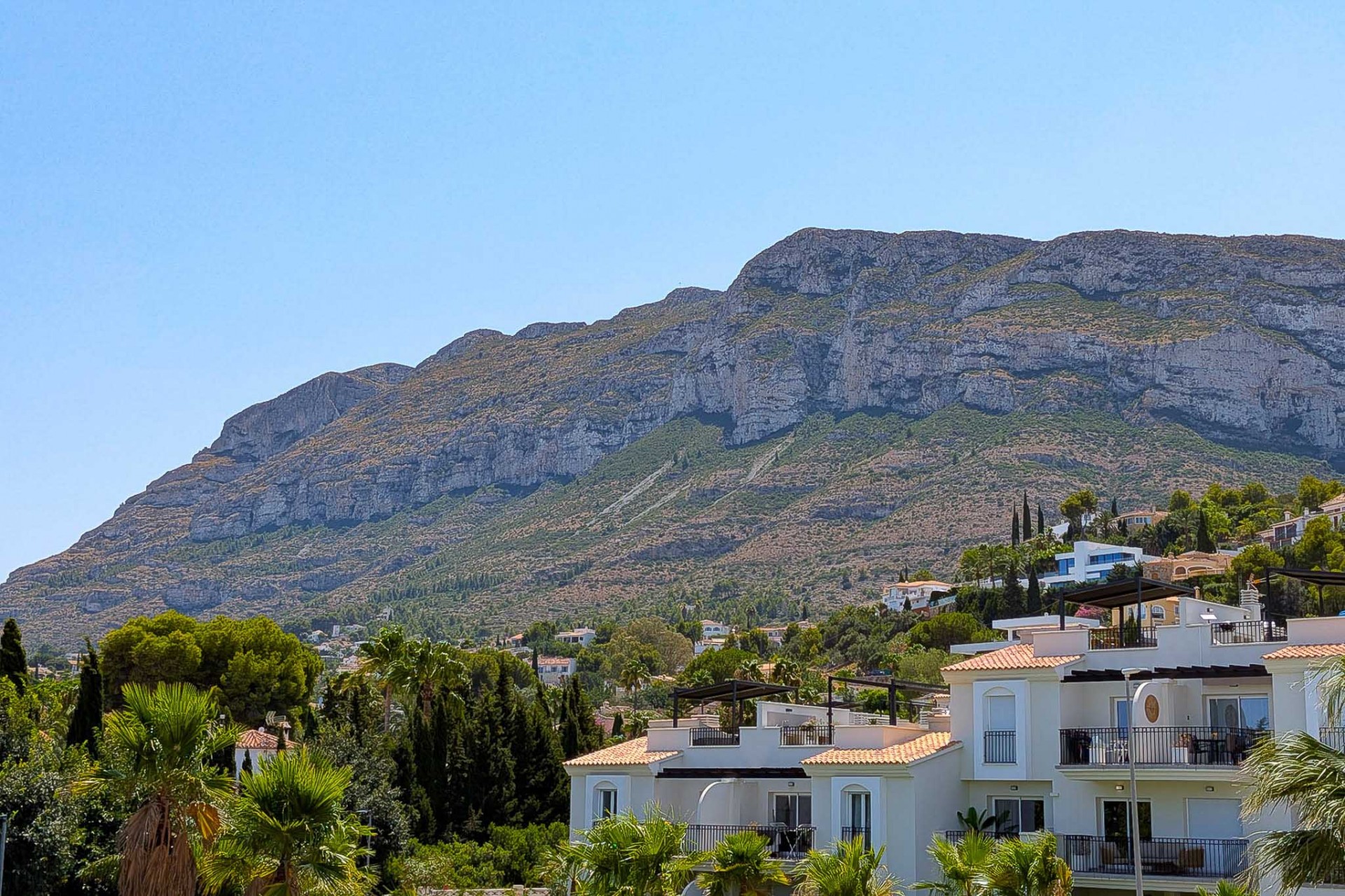 Neubau - Apartment -
Denia