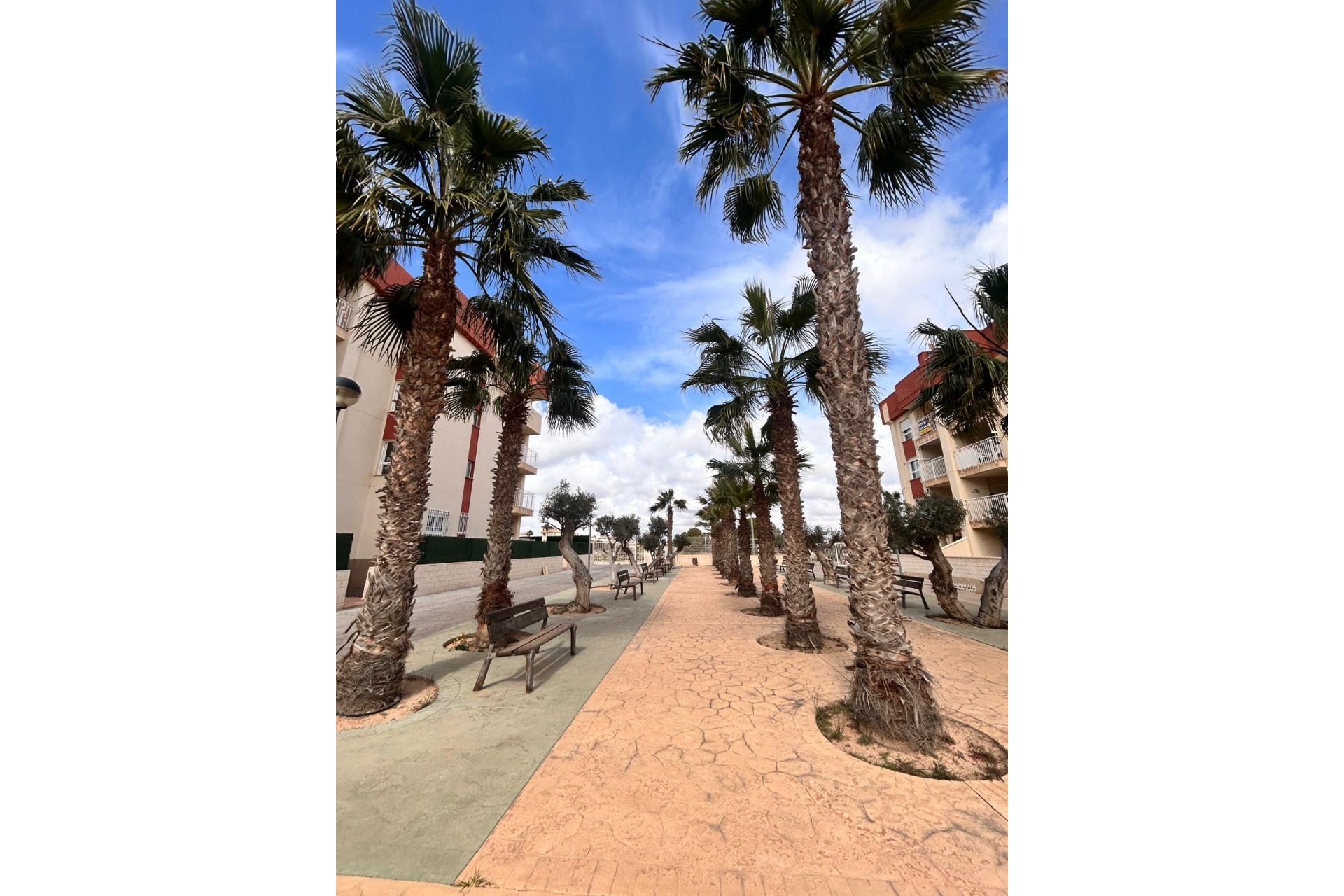 Neubau -  -
Orihuela Costa