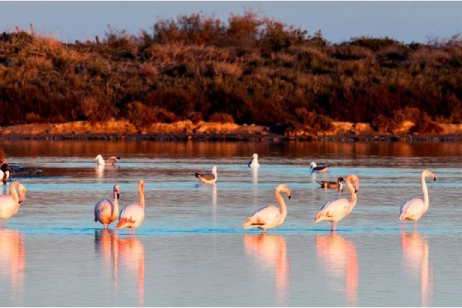 Neubau -  -
San Pedro del Pinatar