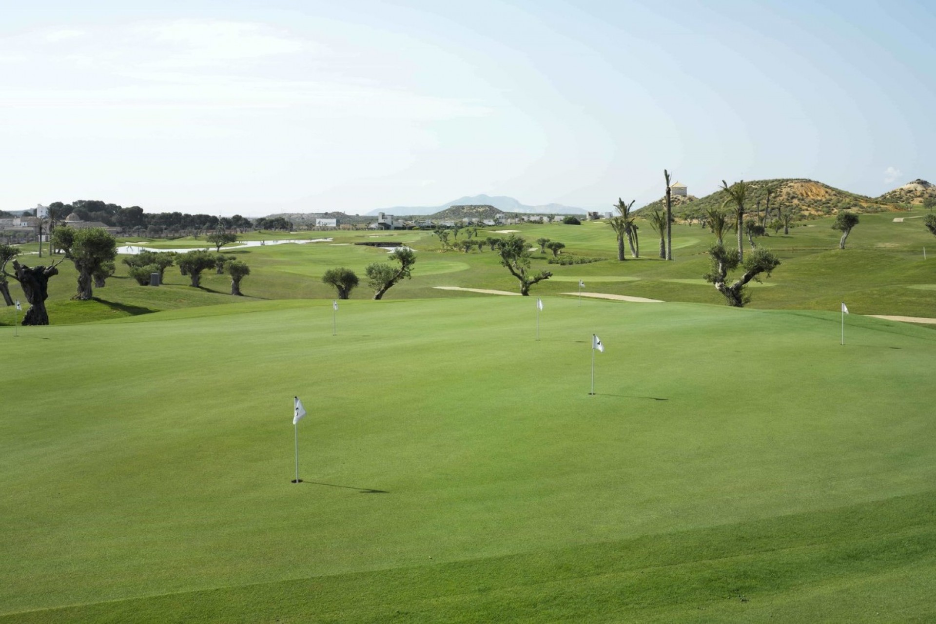 Neubau - Villa -
Sucina - Peraleja Golf