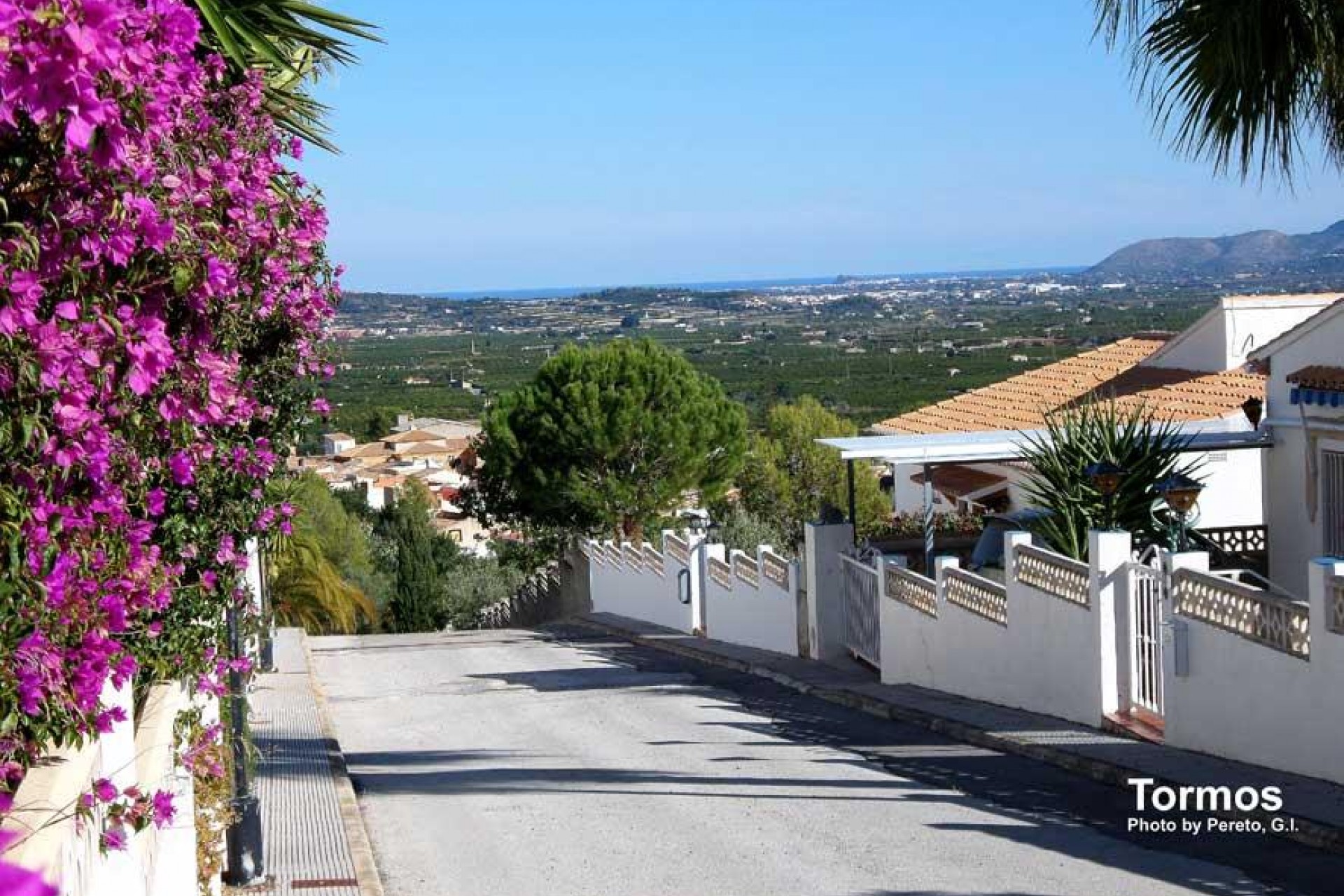 Neubau - Villa -
Tormos